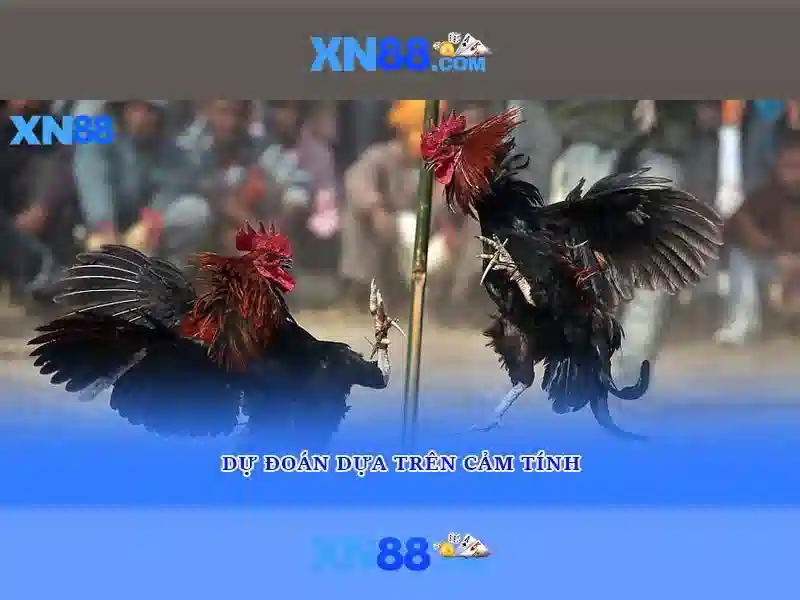 💎hb88 hải phòng💎 - rút tiền hb88 - hb88 hb88n net 💎hb88 hải phòng💎 - rút tiền hb88 - hb88 hb88n net