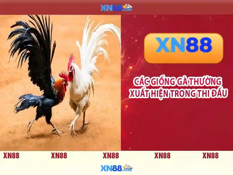 game slot trực tuyến - xn88 game slot trực tuyến - xn88