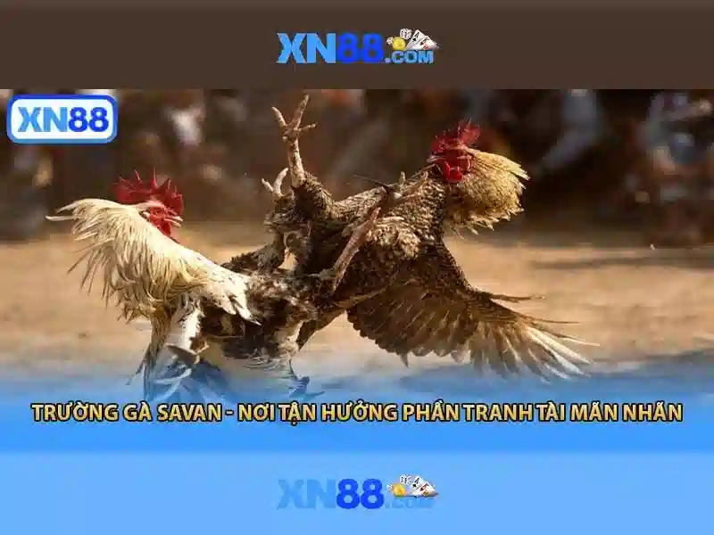 💎how are casino slot machines programmed💎 💎how are casino slot machines programmed💎