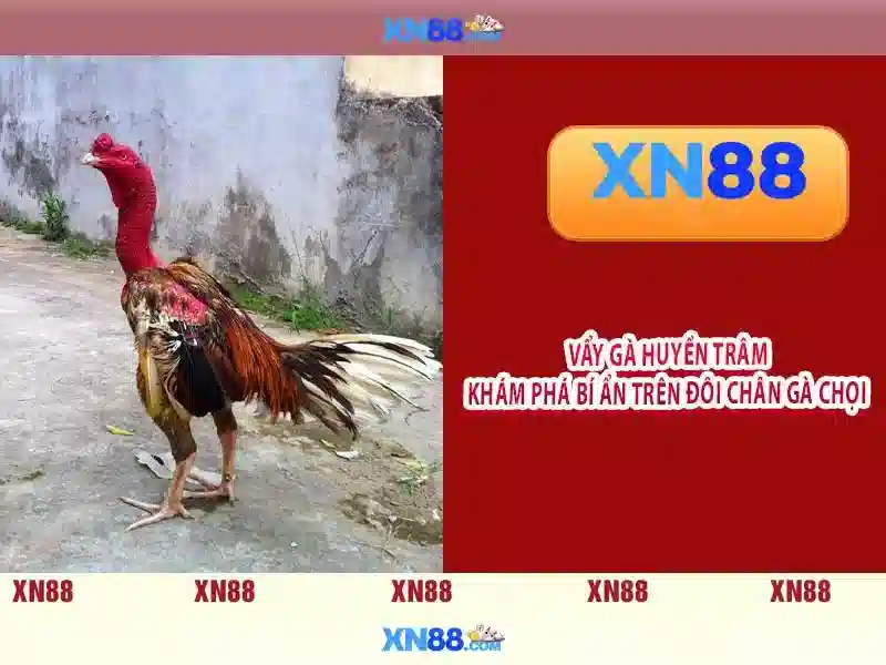 XN88 Là Gì – Trải Nghiệm Slot Đỉnh Cao Tại XN88 2026 - xn88 XN88 Là Gì – Trải Nghiệm Slot Đỉnh Cao Tại XN88 2026 - xn88