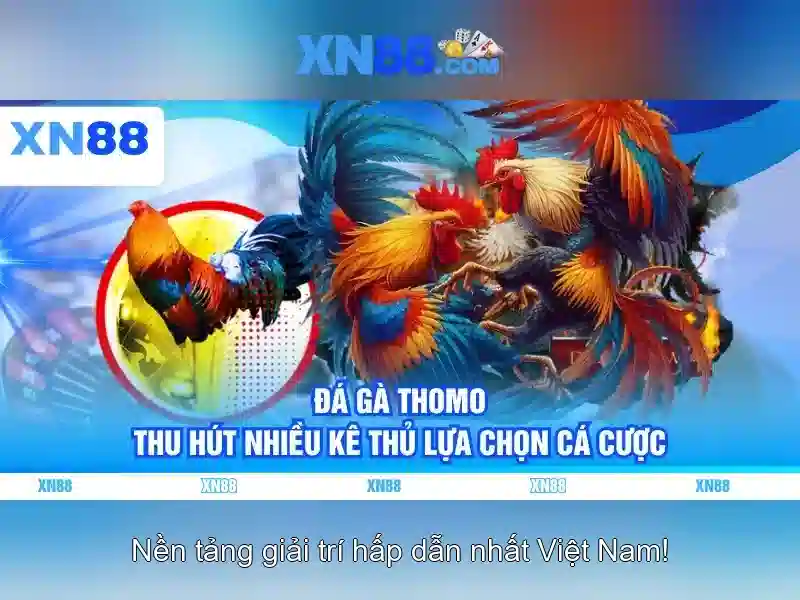 💎pháp vs tây ban nha kèo nhà cái💎 💎pháp vs tây ban nha kèo nhà cái💎