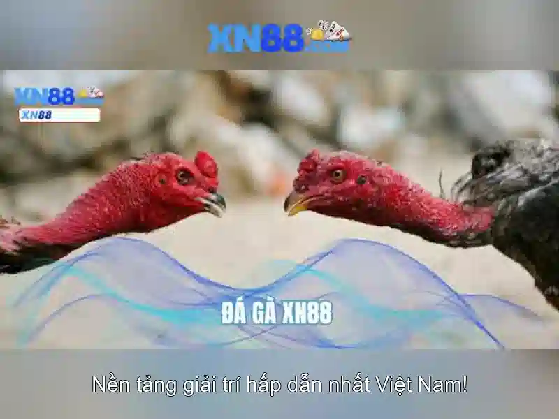 💎xem tỷ số nhà cái💎 💎xem tỷ số nhà cái💎