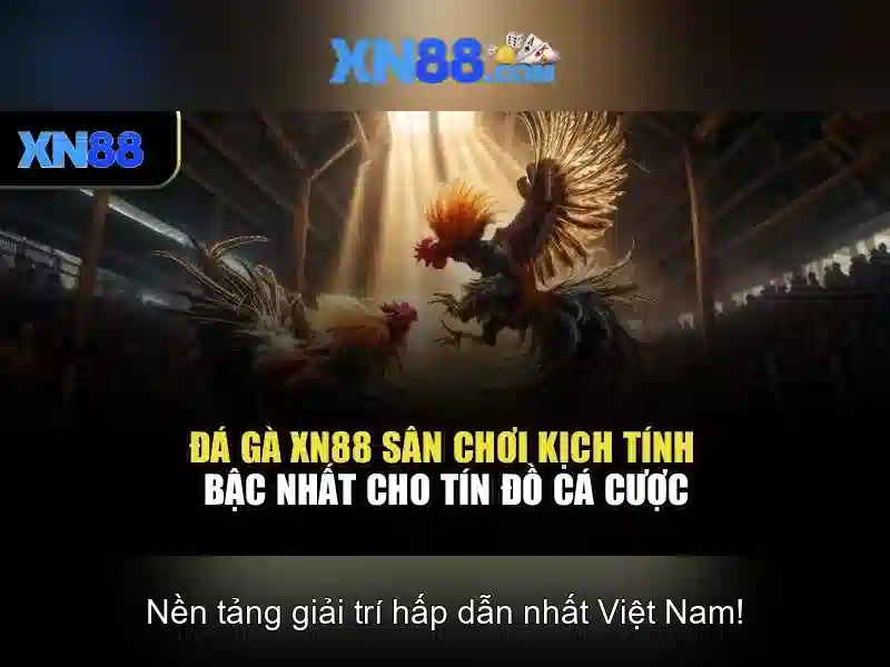 💎cá cược bóng đá cadobongda💎 💎cá cược bóng đá cadobongda💎
