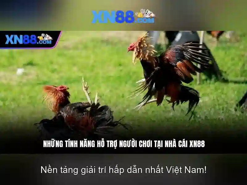 💎đánh vòng bạc💎 💎đánh vòng bạc💎