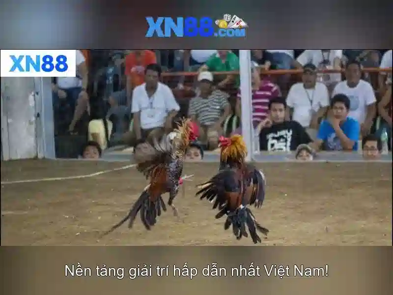 💎bài đánh giá về bac sĩ tan khám măt💎 💎bài đánh giá về bac sĩ tan khám măt💎